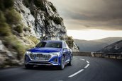 Audi SQ8 E-Tron si Audi SQ8 Sportback E-Tron