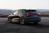 Audi SQ8 E-Tron si Audi SQ8 Sportback E-Tron
