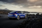 Audi SQ8 E-Tron si Audi SQ8 Sportback E-Tron
