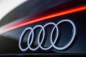 Audi SQ8 Facelift - Galerie foto