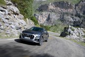 Audi SQ8 - Galerie Foto