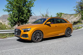 Audi SQ8 necamuflat