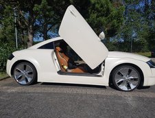 Audi TT cu lambo doors