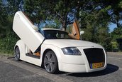 Audi TT cu lambo doors