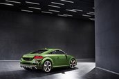 Audi TT RS Heritage Edition