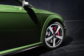 Audi TT RS Heritage Edition