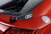 Audi TT RS si R8 cu elemente Audi Performance