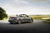 Audi TTS competition plus