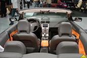 AUTO EMOTIONEN ELVETIA