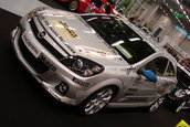 AUTO EMOTIONEN ELVETIA