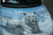 Auto-Maxx Moscova