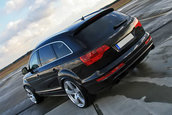 AVUS Performance tuneaza Audi Q7