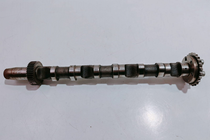 Ax cu came 3.0 tdi 059109021BH Audi A6 4F/C6 [2004 - 2008]