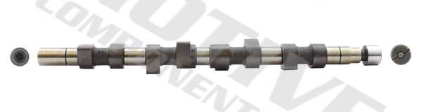 Ax cu came admisie (T1025 MVE) RENAULT