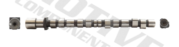 Ax cu came admisie (T8061 MVE) BMW
