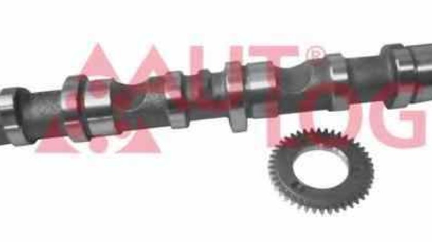 Ax cu came AUDI A4 (8E2, B6) AUTLOG NW5023
