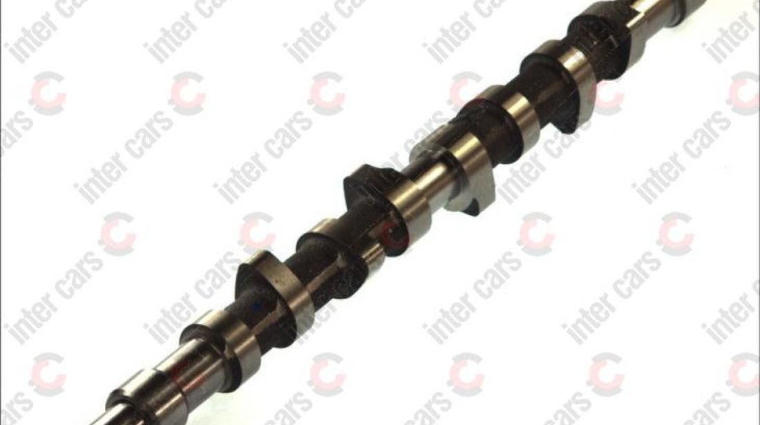 Ax cu came CITROËN ZX Break N2 Producator AE CAM373