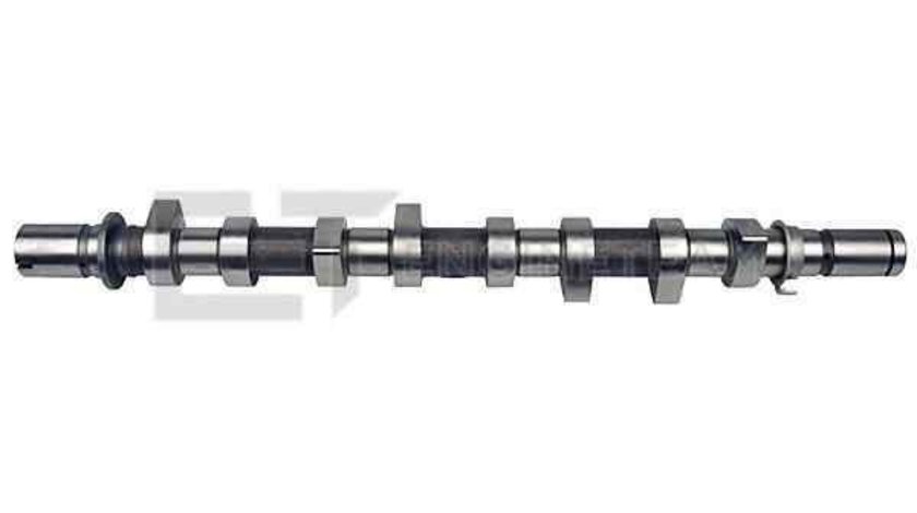 Ax cu came DACIA DUSTER RENAULT 8200718120