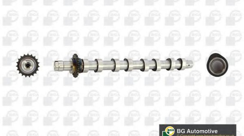 Ax cu came FORD FIESTA VI (2008 - 2016) BGA CS5531 piesa NOUA