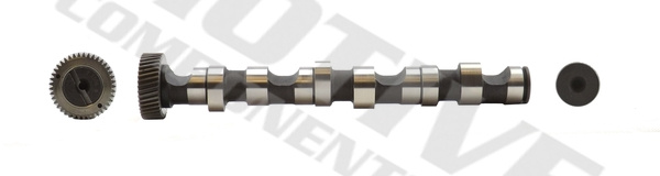 Ax cu came la cilindrul 6 (T064 MVE) AUDI,VW