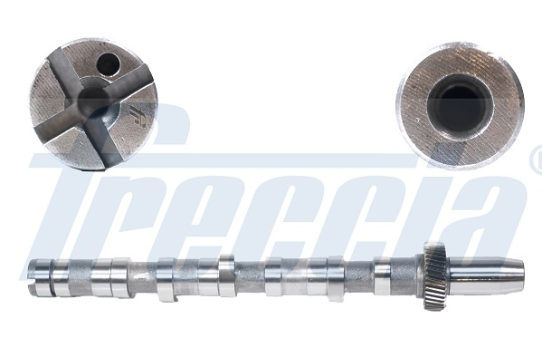 Ax cu came Partea de admisie (CM052120 FRE) AUDI,SKODA,VW