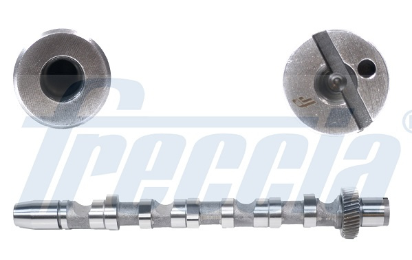 Ax cu came Partea de admisie (CM052121 FRE) AUDI,SKODA,VW