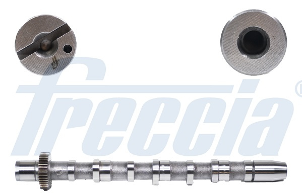 Ax cu came Partea de admisie (CM052189 FRE) AUDI,SKODA,VW