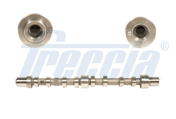 Ax cu came Partea de admisie (CM052199 FRE) FIAT,IVECO,UAZ