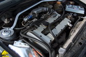 B 31 UGA