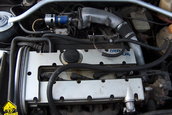 B 31 UGA
