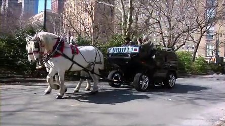 Back to the Futurama: Doi cai frumosi si un Hummer H2... Back to the Futurama: Doi cai frumosi si un Hummer H2...