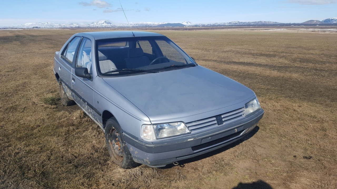 BAIE ULEI PEUGEOT 405 GL 1.4 BENZINA 51KW FAB. 1987 - 1997 ZXYW2018ION