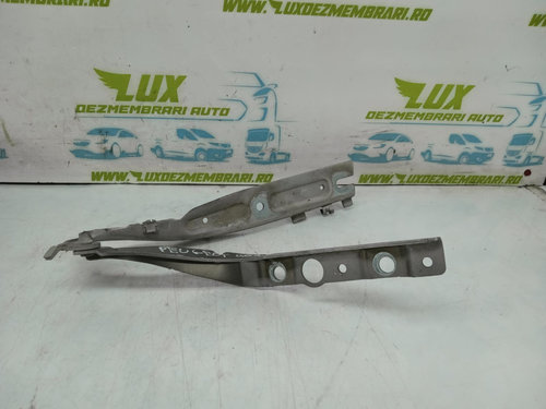 Balama capota 9640968780 Peugeot 407 [2004 - 2010]