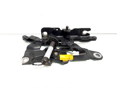Balama capota fata stanga cu capsa, cod 7249887-09, Bmw 6 Coupe (F13, F06) (idi:549500)