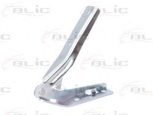 Balama, capota motor PEUGEOT 206 CC (2D) (2000 - 2016) BLIC 6802-00-5507452P piesa NOUA