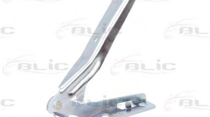 Balama, capota motor PEUGEOT 206 CC (2D) (2000 - 2016) BLIC 6802-00-5507452P piesa NOUA