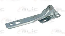 Balama, capota motor VW GOLF IV (1J1) (1997 - 2005...