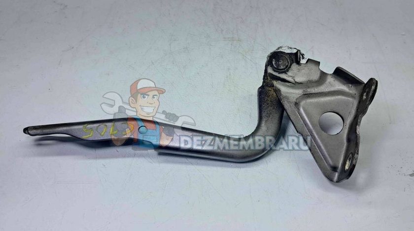 Balama capota stanga Toyota Rav 4 III (ACA3, ACE, ALA3, GSA3, ZSA3) [Fabr 2005-2013] OEM