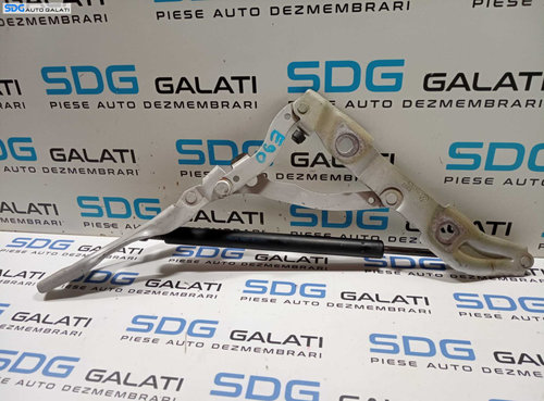 Balama Dreapta Capota Portbagaj Spate BMW Seria 3 E90 E91 320 2004 - 2013 Cod 7060628-05 [M4230]
