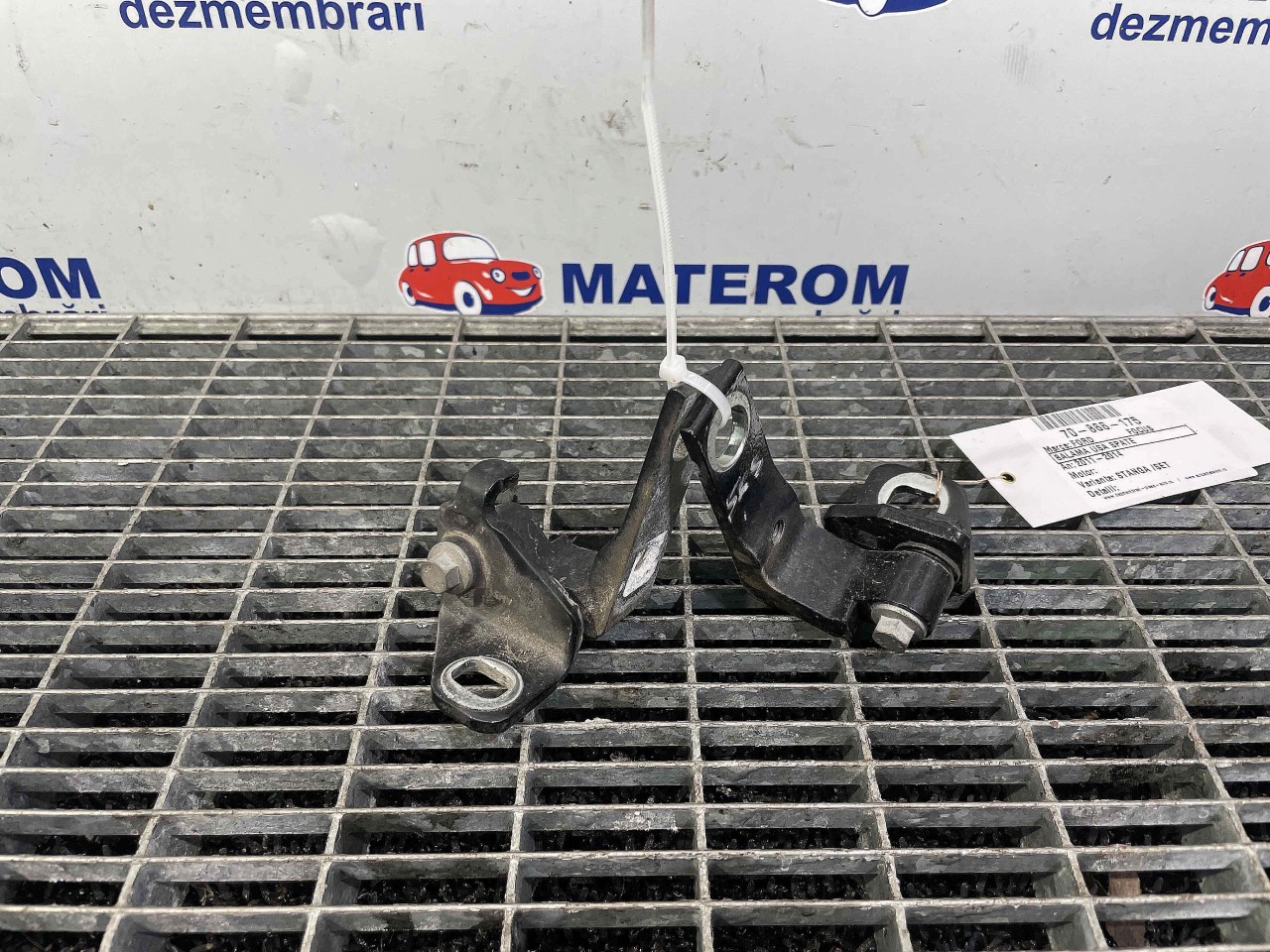 BALAMA USA SPATE FORD FOCUS - - (2011 2014)