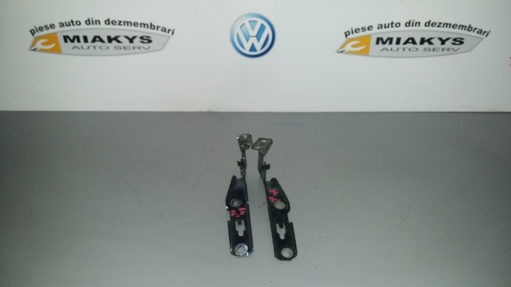 Balamale capoata Audi A4 B7