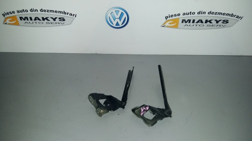 Balamale capota Audi A4 B8