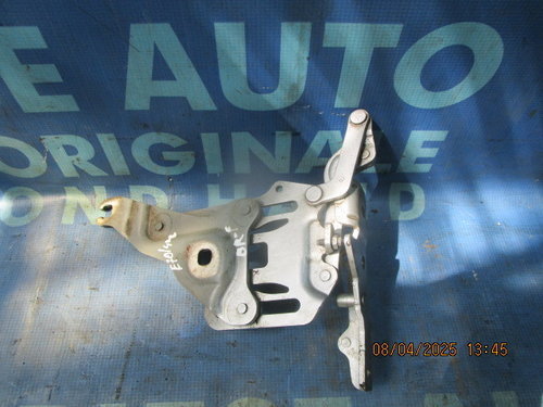 Balamale capota BMW E70 X5 ,7148347 // 7148348 (fata)