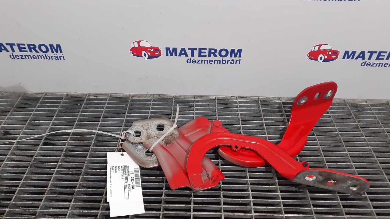 BALAMALE CAPOTA FATA FORD FOCUS - - (2011 2014)