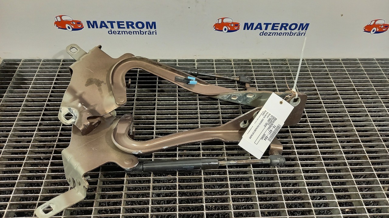 BALAMALE CAPOTA FATA RENAULT SCENIC SCENIC - - (2009 2013)