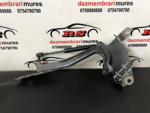Balamale capota Renault Scenic 3 Euro 4 sedan 2010 (654010004R)