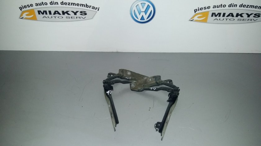 Balamale capota VW Golf 6