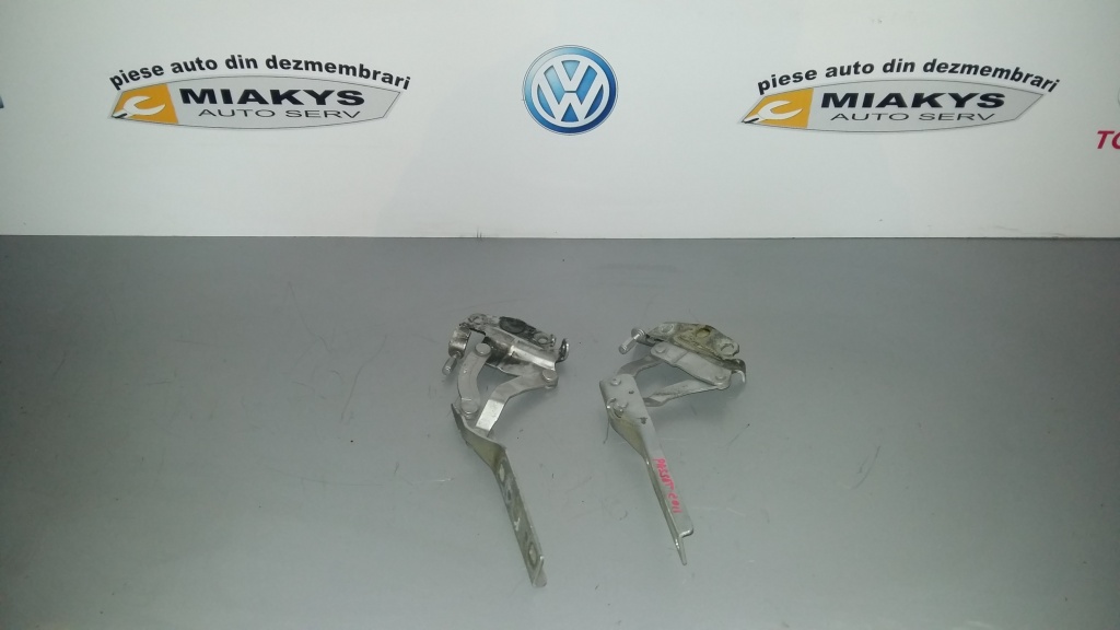 Balamale capota VW Passat B7