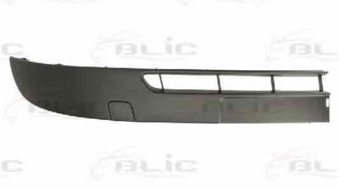 Banda de protectie bara de protectie RENAULT KANGOO Express FW0/1 BLIC 5703-05-6011921P