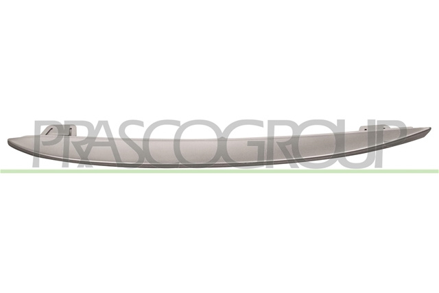 Banda De Protectie, Grila Radiator Prasco Bmw BM0482128